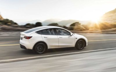 Tesla Shows How High Model Y Market Potential Might Be
