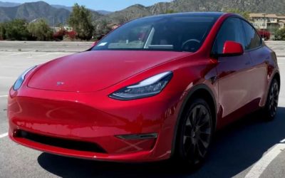 Why Would One Compare The Tesla Model Y To The Model S? Let’s Take A Look
